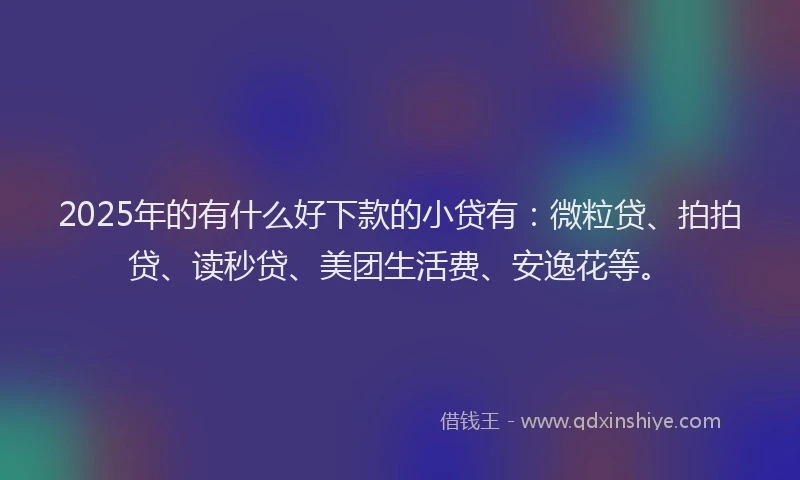 2025年的有什么好下款的小贷有：微粒贷、拍拍贷、读秒贷、美团生活费、安逸花等。
