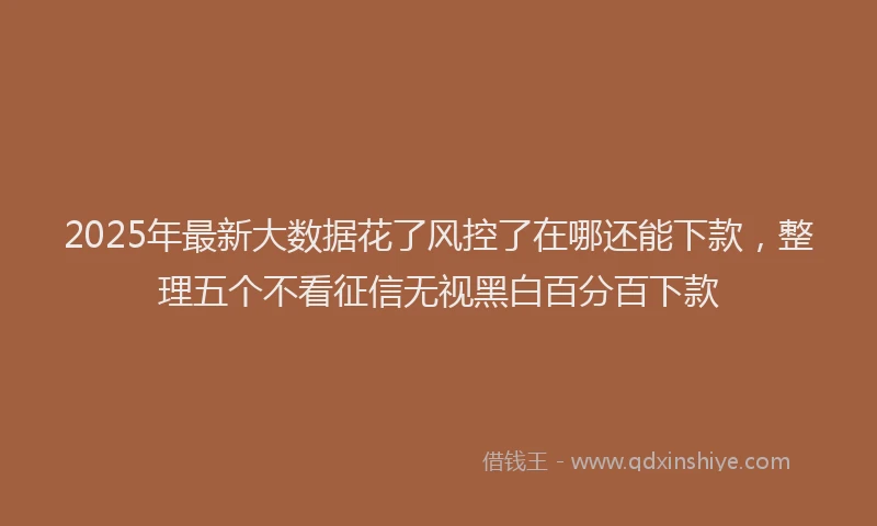 2025年最新大数据花了风控了在哪还能下款，整理五个不看征信无视黑白百分百下款