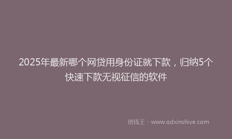 2025年最新哪个网贷用身份证就下款，归纳5个快速下款无视征信的软件