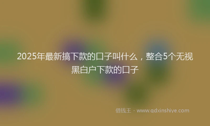 2025年最新搞下款的口子叫什么，整合5个无视黑白户下款的口子