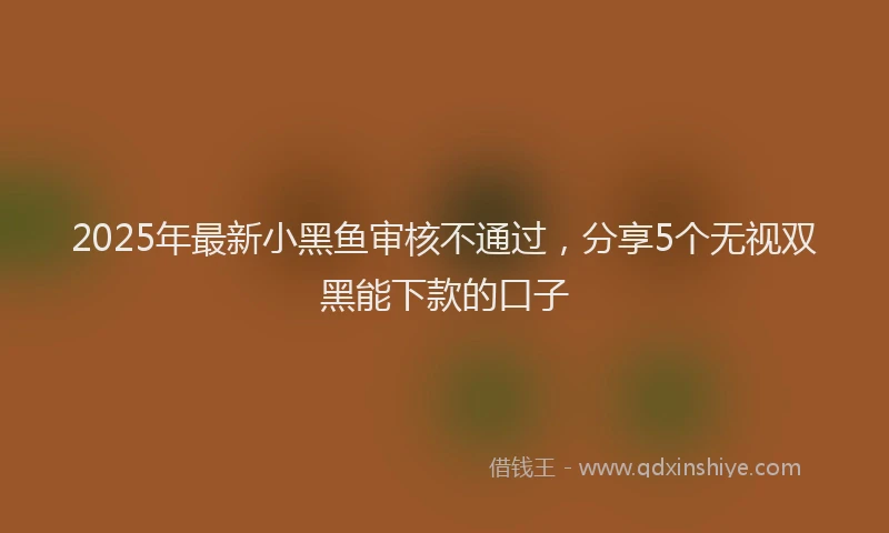 2025年最新小黑鱼审核不通过，分享5个无视双黑能下款的口子