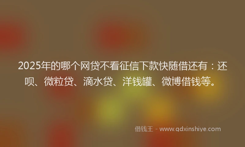 2025年的哪个网贷不看征信下款快随借还有：还呗、微粒贷、滴水贷、洋钱罐、微博借钱等。