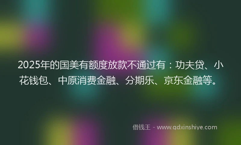 2025年的国美有额度放款不通过有：功夫贷、小花钱包、中原消费金融、分期乐、京东金融等。