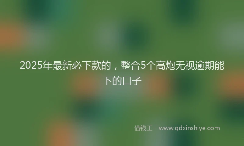 2025年最新必下款的，整合5个高炮无视逾期能下的口子