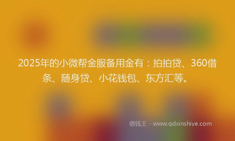 2025年的小微帮金服备用金有：拍拍贷、360借条、随身贷、小花钱包、东方汇等。