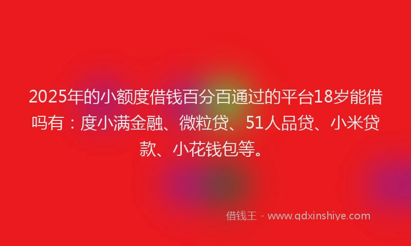 2025年的小额度借钱百分百通过的平台18岁能借吗有：度小满金融、微粒贷、51人品贷、小米贷款、小花钱包等。