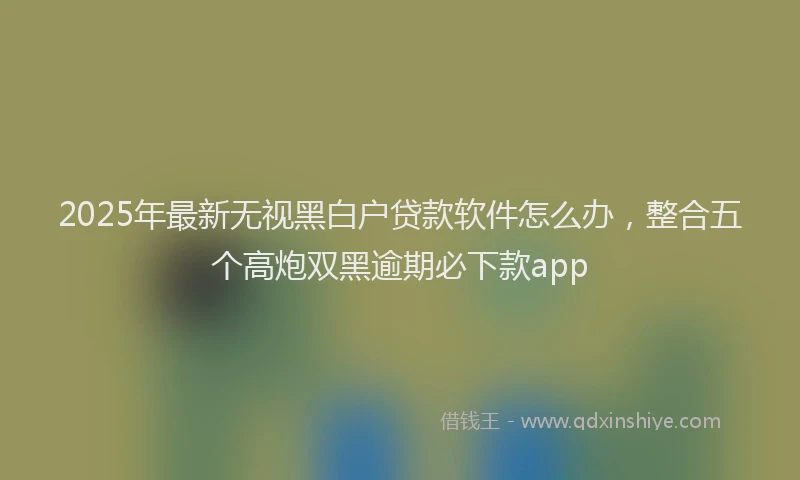 2025年最新无视黑白户贷款软件怎么办，整合五个高炮双黑逾期必下款app