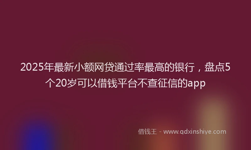 2025年最新小额网贷通过率最高的银行，盘点5个20岁可以借钱平台不查征信的app