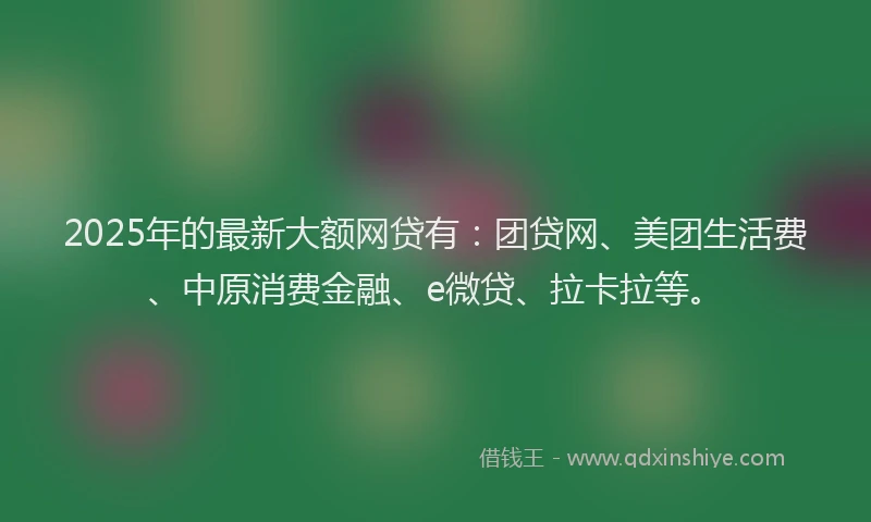 2025年的最新大额网贷有：团贷网、美团生活费、中原消费金融、e微贷、拉卡拉等。