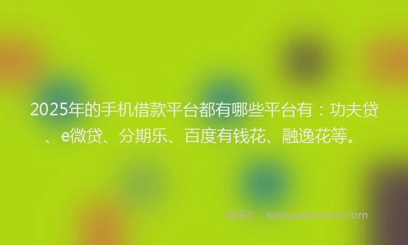 2025年的手机借款平台都有哪些平台有：功夫贷、e微贷、分期乐、百度有钱花、融逸花等。