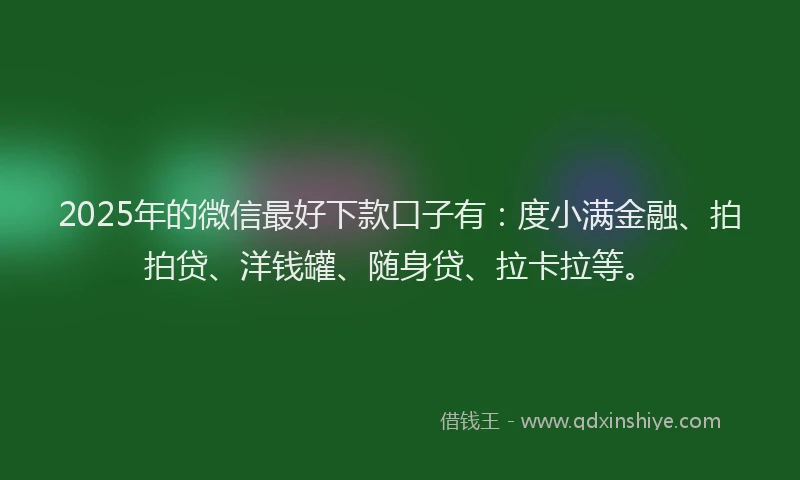 2025年的微信最好下款口子有：度小满金融、拍拍贷、洋钱罐、随身贷、拉卡拉等。