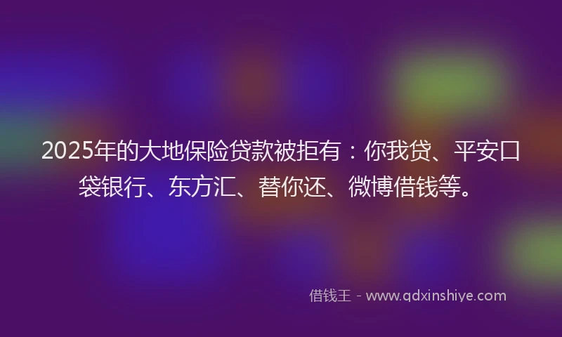 2025年的大地保险贷款被拒有：你我贷、平安口袋银行、东方汇、替你还、微博借钱等。
