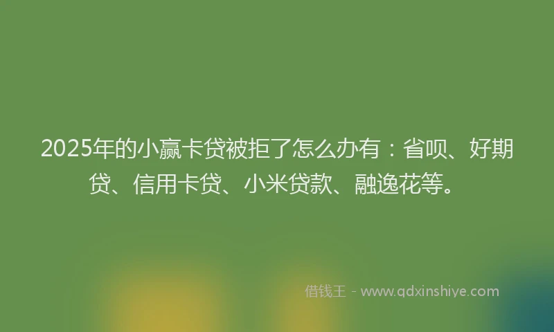 2025年的小赢卡贷被拒了怎么办有：省呗、好期贷、信用卡贷、小米贷款、融逸花等。