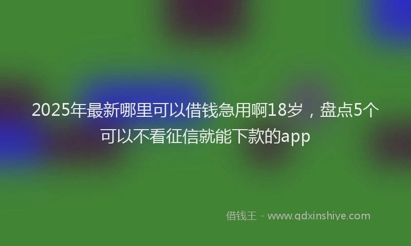 2025年最新哪里可以借钱急用啊18岁，盘点5个可以不看征信就能下款的app