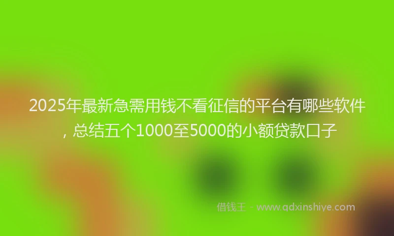 2025年最新急需用钱不看征信的平台有哪些软件，总结五个1000至5000的小额贷款口子