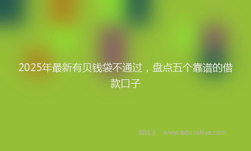 2025年最新有贝钱袋不通过，盘点五个靠谱的借款口子