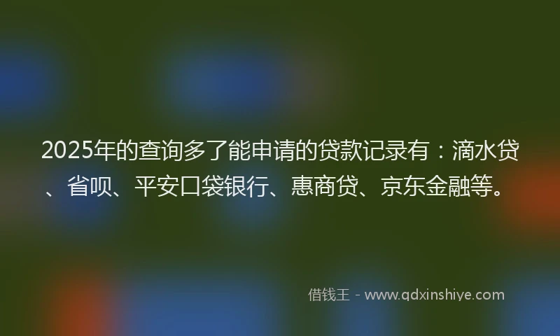 2025年的查询多了能申请的贷款记录有：滴水贷、省呗、平安口袋银行、惠商贷、京东金融等。