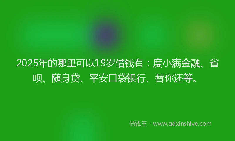 2025年的哪里可以19岁借钱有：度小满金融、省呗、随身贷、平安口袋银行、替你还等。