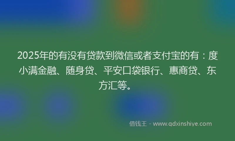 2025年的有没有贷款到微信或者支付宝的有：度小满金融、随身贷、平安口袋银行、惠商贷、东方汇等。