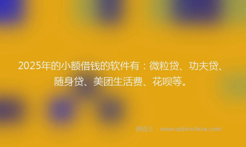 2025年的小额借钱的软件有：微粒贷、功夫贷、随身贷、美团生活费、花呗等。