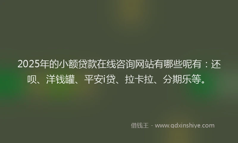 2025年的小额贷款在线咨询网站有哪些呢有：还呗、洋钱罐、平安i贷、拉卡拉、分期乐等。