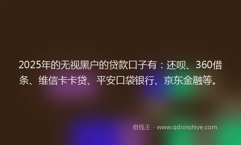 2025年的无视黑户的贷款口子有：还呗、360借条、维信卡卡贷、平安口袋银行、京东金融等。