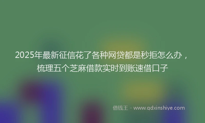2025年最新征信花了各种网贷都是秒拒怎么办，梳理五个芝麻借款实时到账速借口子
