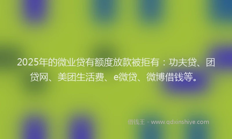 2025年的微业贷有额度放款被拒有：功夫贷、团贷网、美团生活费、e微贷、微博借钱等。