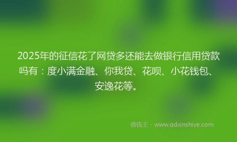 2025年的征信花了网贷多还能去做银行信用贷款吗有：度小满金融、你我贷、花呗、小花钱包、安逸花等。