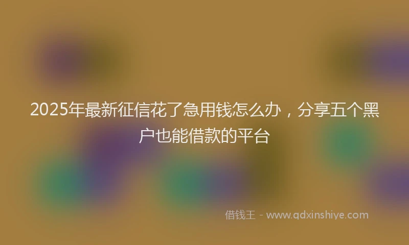 2025年最新征信花了急用钱怎么办，分享五个黑户也能借款的平台
