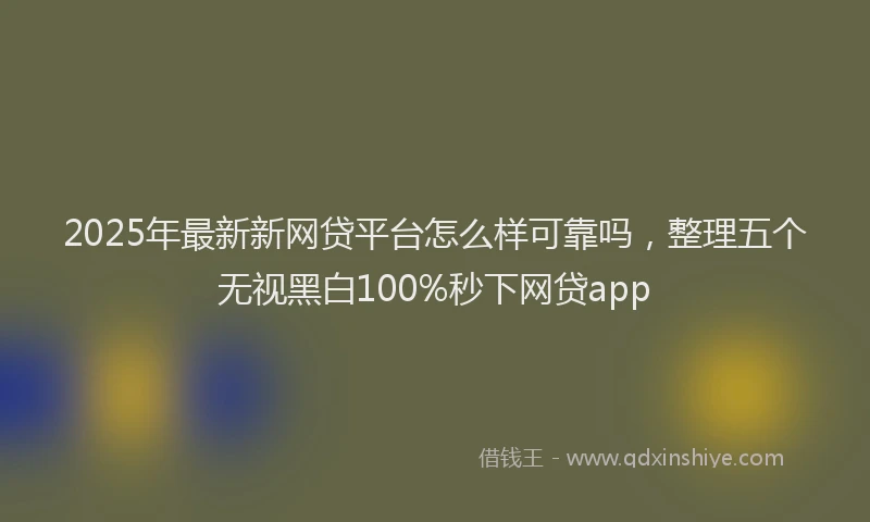 2025年最新新网贷平台怎么样可靠吗，整理五个无视黑白100%秒下网贷app