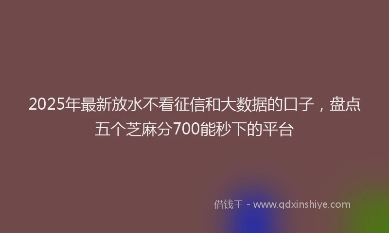 2025年最新放水不看征信和大数据的口子，盘点五个芝麻分700能秒下的平台