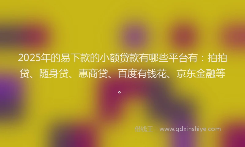 2025年的易下款的小额贷款有哪些平台有：拍拍贷、随身贷、惠商贷、百度有钱花、京东金融等。