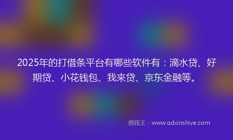2025年的打借条平台有哪些软件有：滴水贷、好期贷、小花钱包、我来贷、京东金融等。