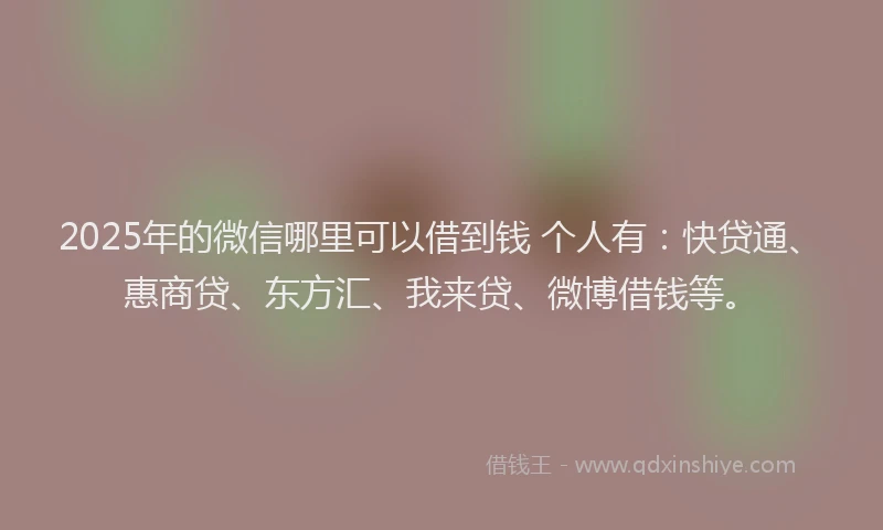 2025年的微信哪里可以借到钱 个人有：快贷通、惠商贷、东方汇、我来贷、微博借钱等。