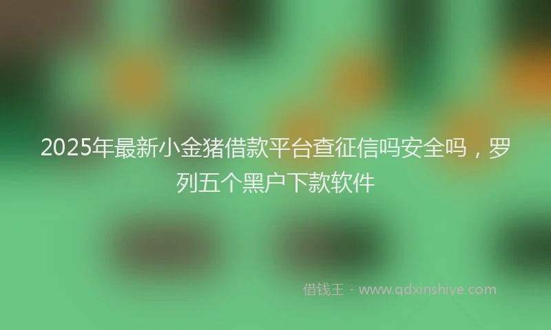 2025年最新小金猪借款平台查征信吗安全吗，罗列五个黑户下款软件