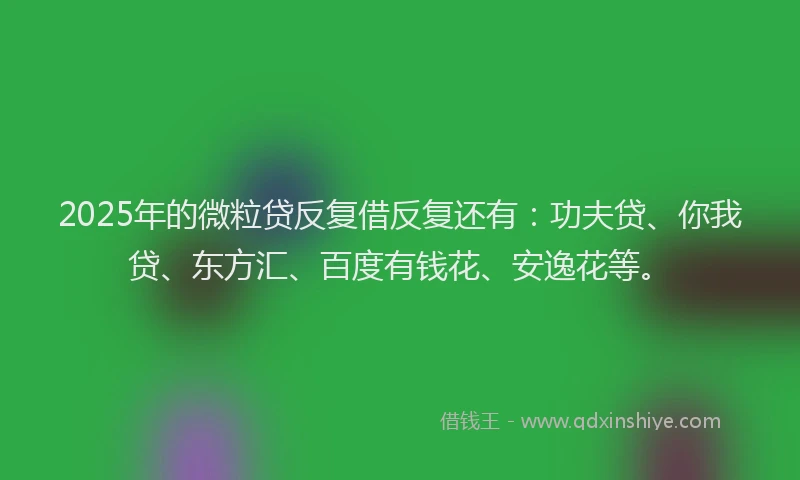 2025年的微粒贷反复借反复还有：功夫贷、你我贷、东方汇、百度有钱花、安逸花等。