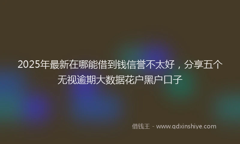 2025年最新在哪能借到钱信誉不太好，分享五个无视逾期大数据花户黑户口子