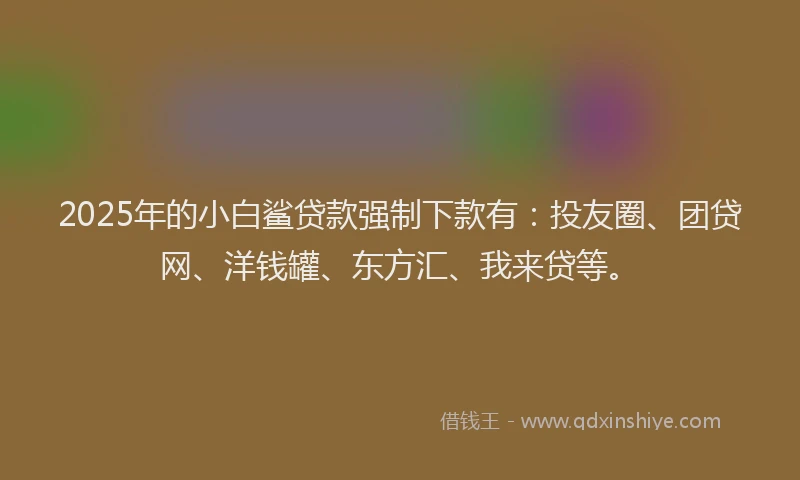 2025年的小白鲨贷款强制下款有：投友圈、团贷网、洋钱罐、东方汇、我来贷等。
