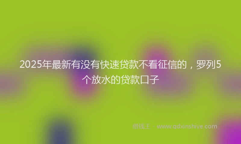 2025年最新有没有快速贷款不看征信的，罗列5个放水的贷款口子