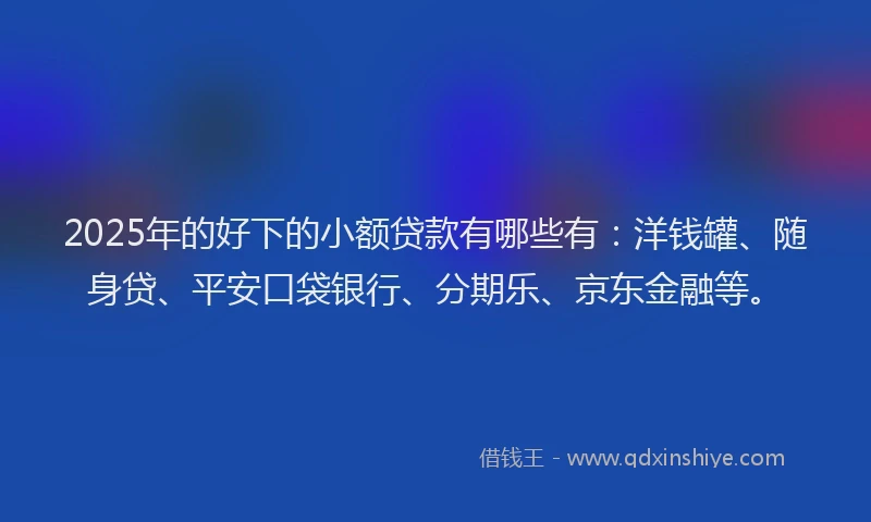2025年的好下的小额贷款有哪些有：洋钱罐、随身贷、平安口袋银行、分期乐、京东金融等。