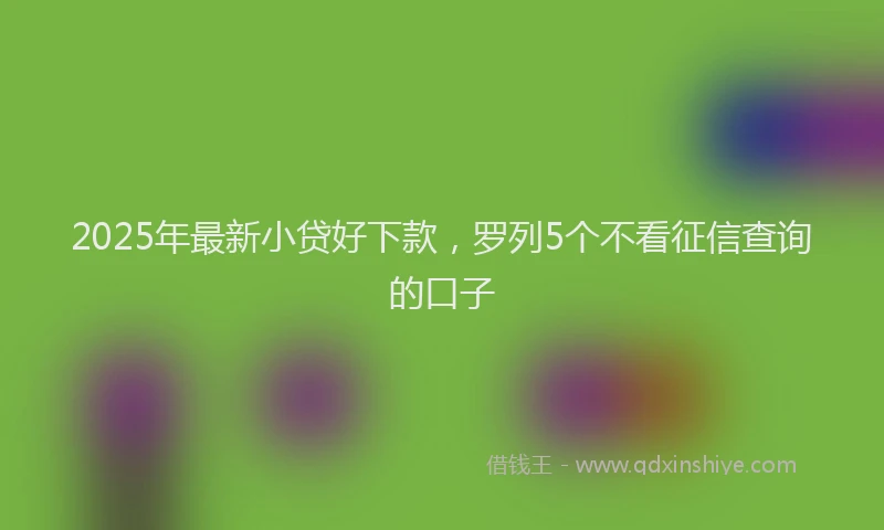2025年最新小贷好下款，罗列5个不看征信查询的口子
