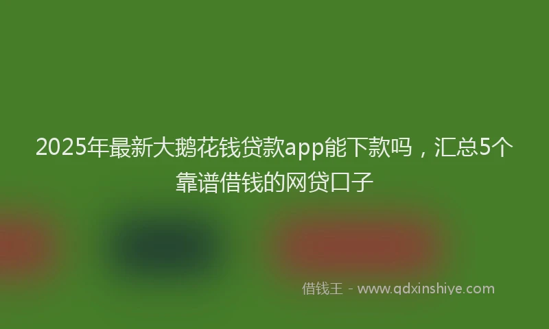 2025年最新大鹅花钱贷款app能下款吗，汇总5个靠谱借钱的网贷口子