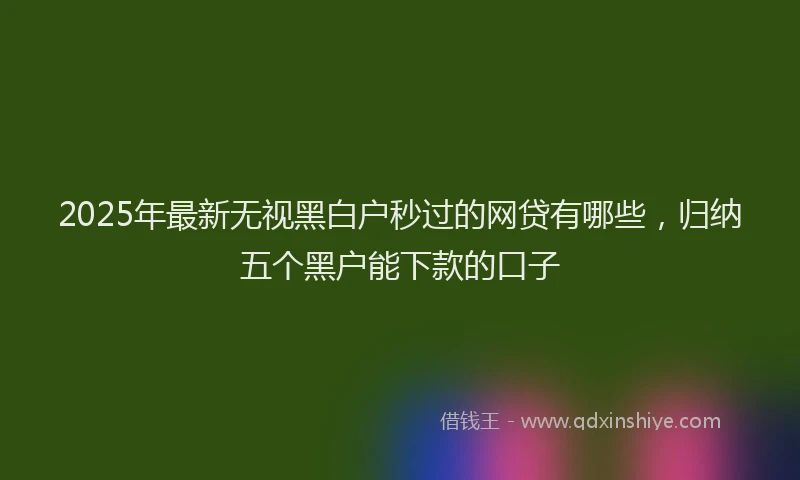 2025年最新无视黑白户秒过的网贷有哪些，归纳五个黑户能下款的口子