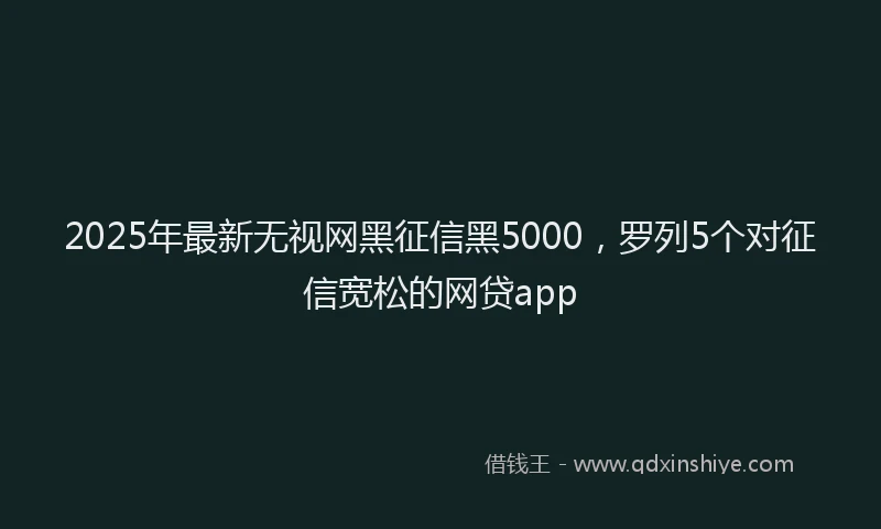 2025年最新无视网黑征信黑5000，罗列5个对征信宽松的网贷app
