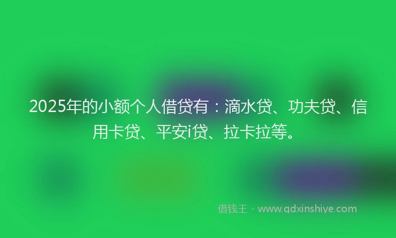 2025年的小额个人借贷有：滴水贷、功夫贷、信用卡贷、平安i贷、拉卡拉等。