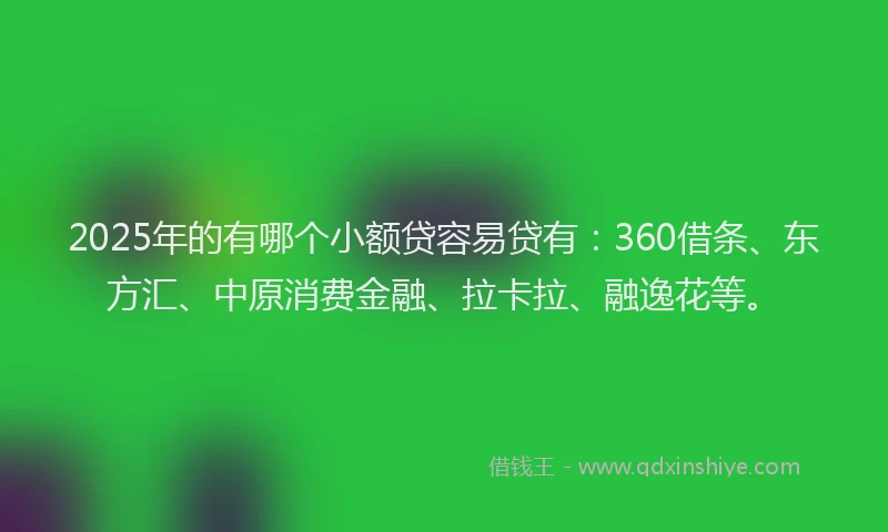 2025年的有哪个小额贷容易贷有：360借条、东方汇、中原消费金融、拉卡拉、融逸花等。