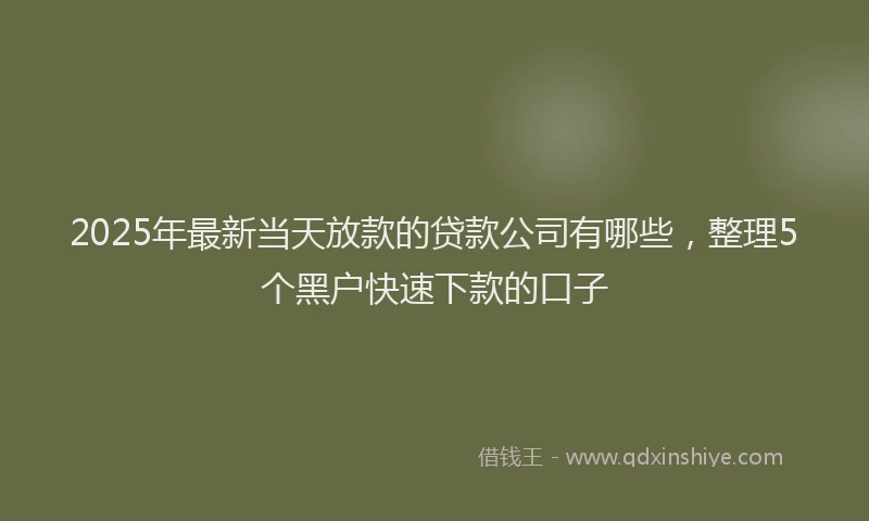 2025年最新当天放款的贷款公司有哪些，整理5个黑户快速下款的口子