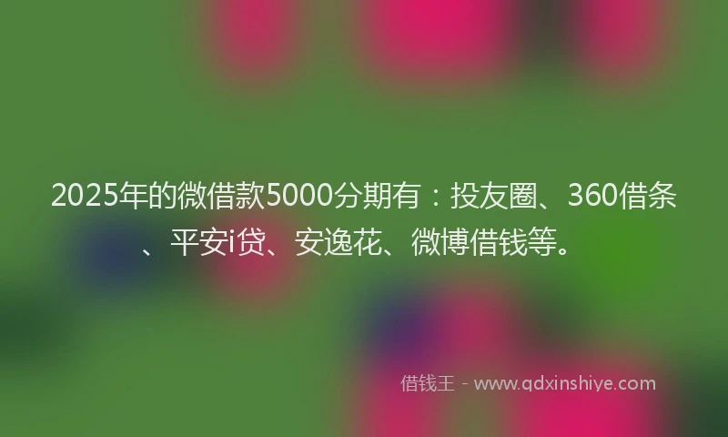 2025年的微借款5000分期有：投友圈、360借条、平安i贷、安逸花、微博借钱等。