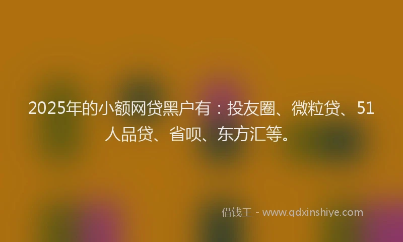 2025年的小额网贷黑户有：投友圈、微粒贷、51人品贷、省呗、东方汇等。